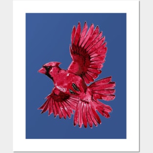 Watercolor Cardinal 1 Posters and Art